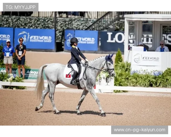 荷兰马术协会成功举办全国马术锦标赛，吸引众多观众。，荷兰 马术